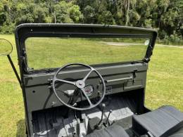 JEEP - WILLYS - 1967/1967 - Verde - Sob Consulta
