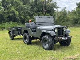 JEEP - WILLYS - 1967/1967 - Verde - Sob Consulta