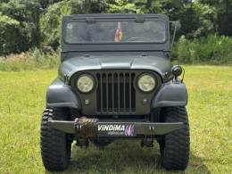 JEEP - WILLYS - 1967/1967 - Verde - Sob Consulta