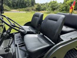 JEEP - WILLYS - 1967/1967 - Verde - Sob Consulta